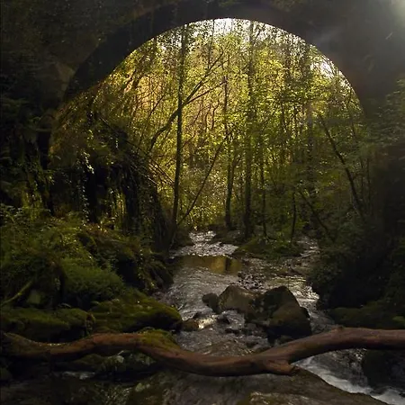 Rural Lambre By Miramar