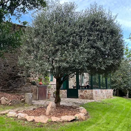 Rural Lambre By Miramar