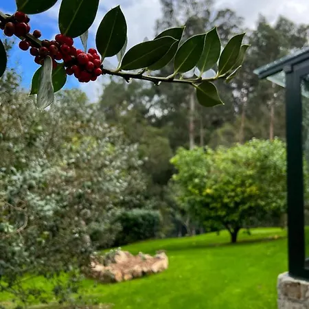 Rural Lambre By Miramar *