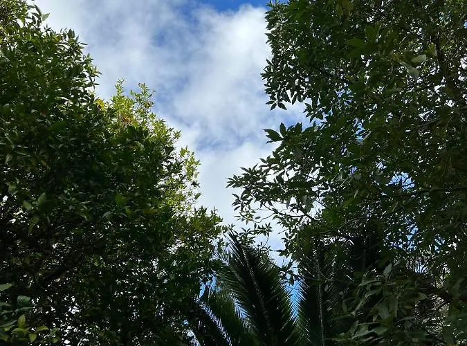 Holiday home Rural Lambre By Miramar