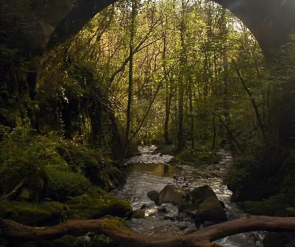 Rural Lambre By Miramar