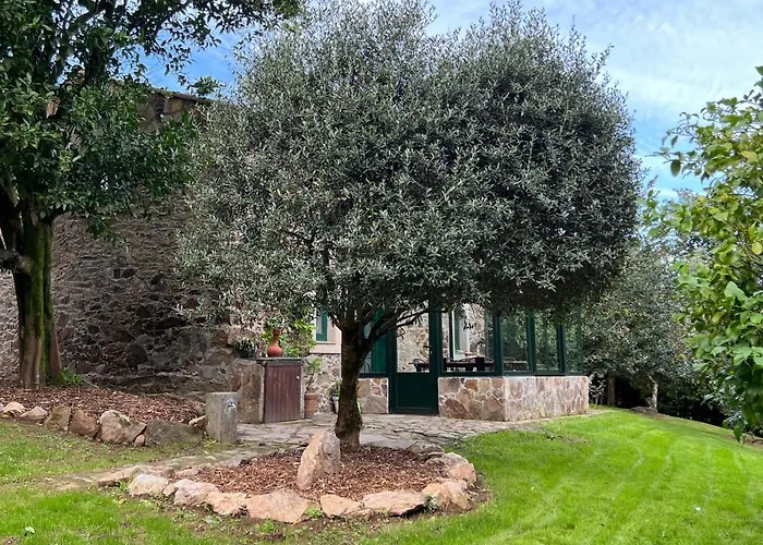 Rural Lambre By Miramar