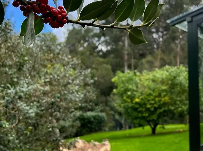 Rural Lambre By Miramar *